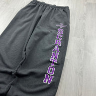 VINTAGE Y2K CHAMPION BAGGY UNIVERSITY SWEATPANTS GREY
